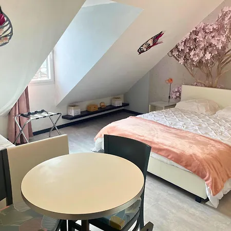 Reve Rose Equipe, Wifi, Vue Lourdes