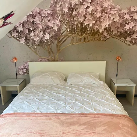 Apartment Reve Rose Equipe, Wifi, Vue Lourdes