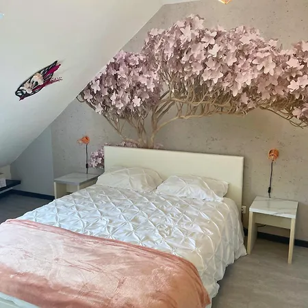 Reve Rose Equipe, Wifi, Vue Lourdes