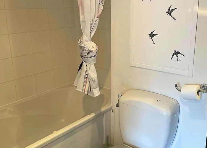 Reve Rose Equipe, Wifi, Vue