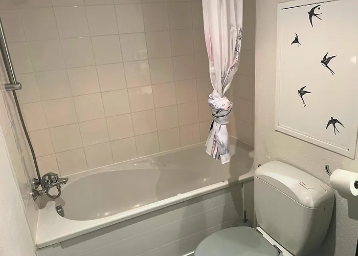 Reve Rose Equipe, Wifi, Vue Διαμέρισμα Λούρδη