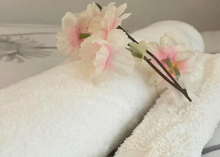 Διαμέρισμα Reve Rose Equipe, Wifi, Vue Λούρδη