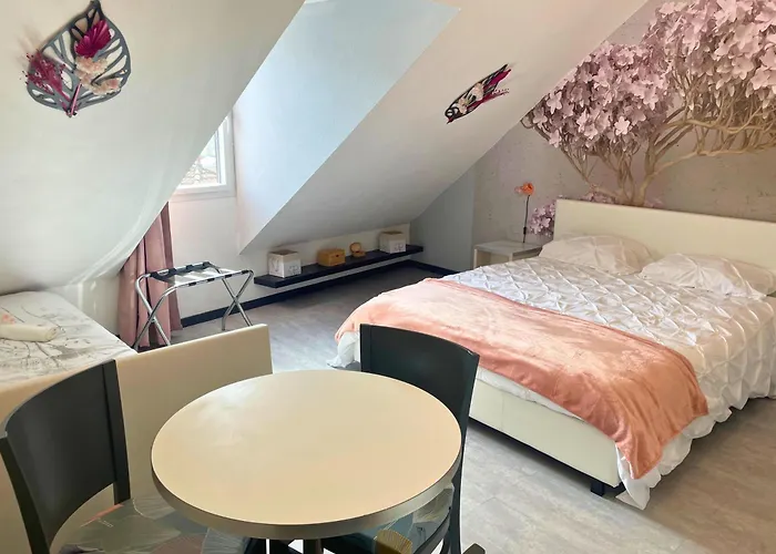 Reve Rose Equipe, Wifi, Vue Λούρδη