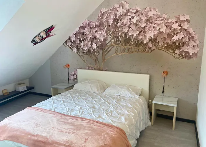 Reve Rose Equipe, Wifi, Vue Λούρδη