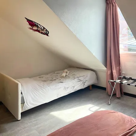 Reve Rose Equipe, Wifi, Vue