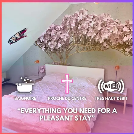 Apartment Reve Rose Equipe, Wifi, Vue Lourdes