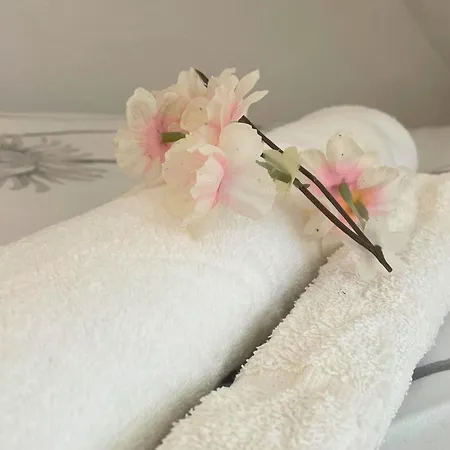 Apartment Reve Rose Equipe, Wifi, Vue Lourdes