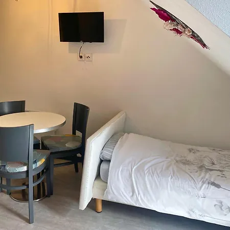 Apartment Reve Rose Equipe, Wifi, Vue Lourdes